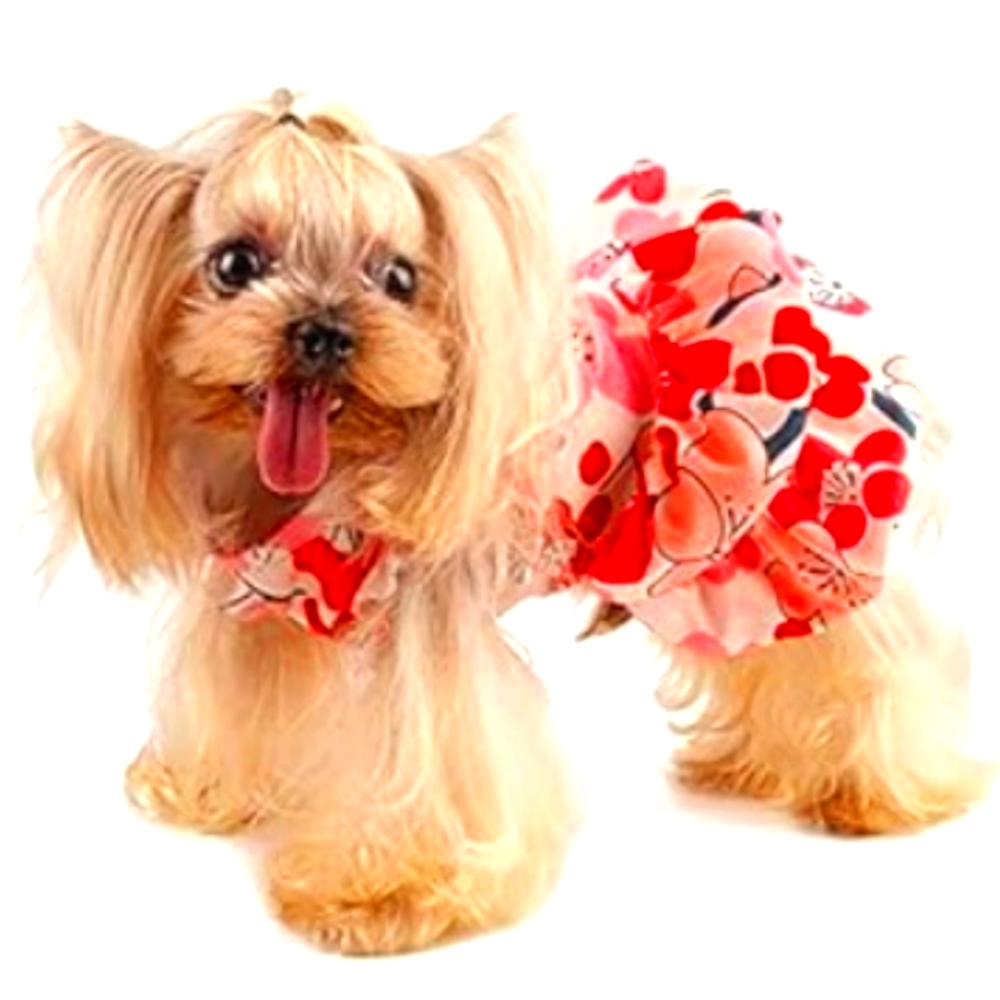 Floral cuteness overload